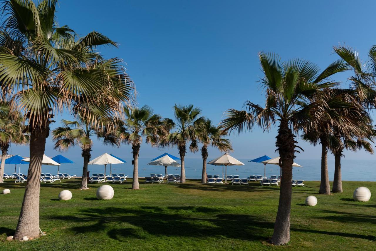 Отель Grand Ocean El Sokhna Айн-Сохна Экстерьер фото Palm trees in Limassol